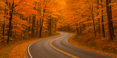 fallroad